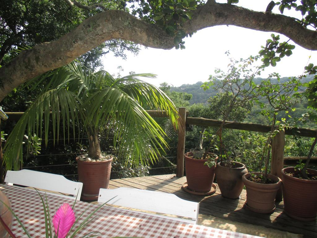 Utopia In Africa Guest Villa Mbombela Exteriör bild